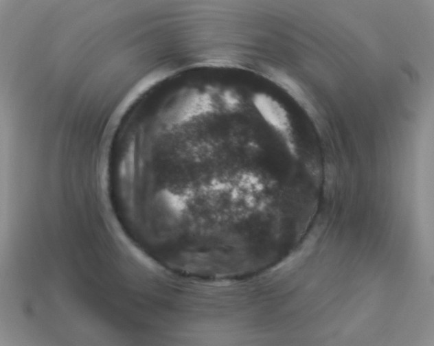 X0000113881331200910151304