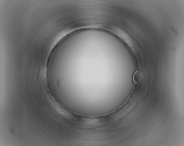 X0000113881332200910151304