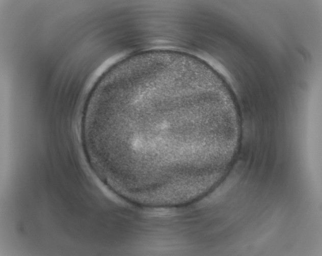 X0000113881333200910151304