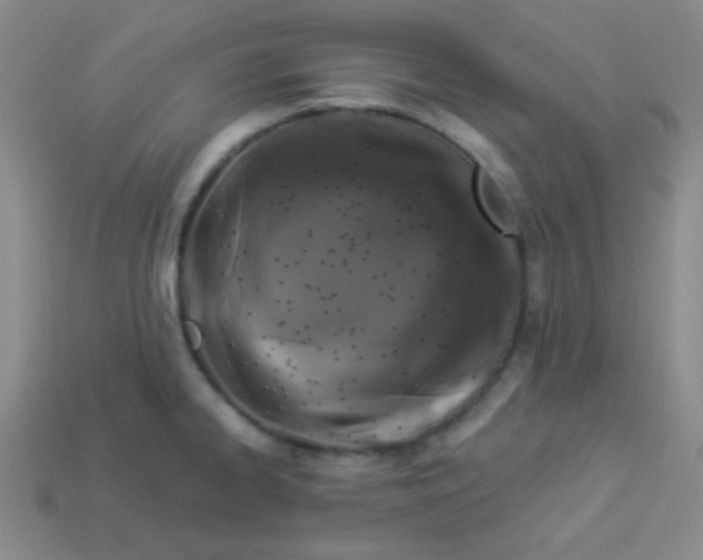 X0000113881334200910151304