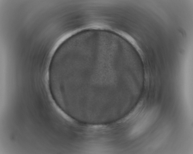 X0000113881335200910151304