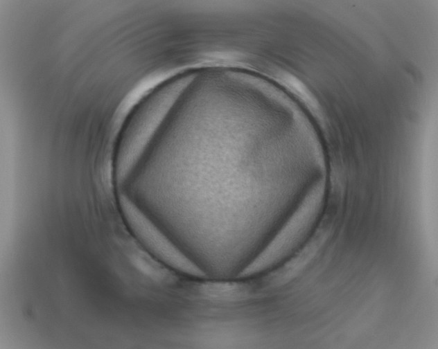 X0000113881336200910151304