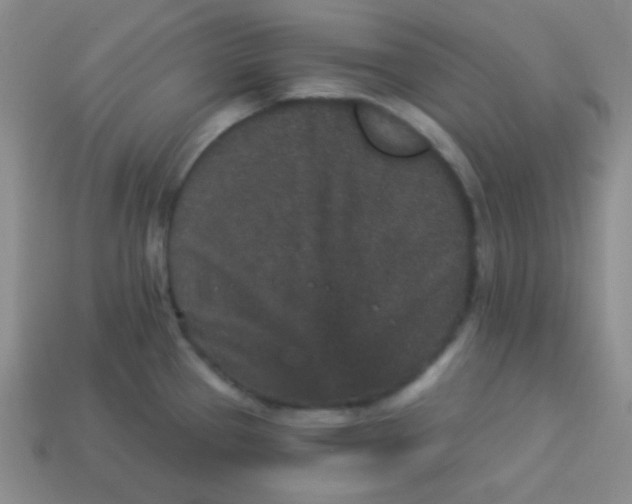 X0000113881337200910151304