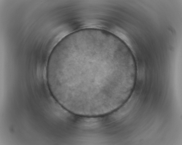 X0000113881338200910151304