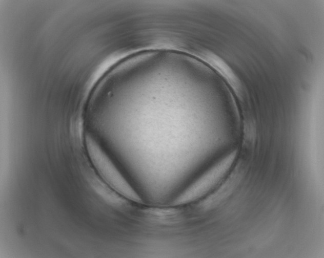 X0000113881340200910151304