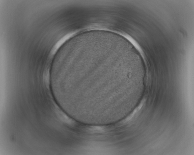 X0000113881341200910151304