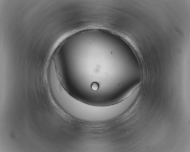 X0000113881342200910151304