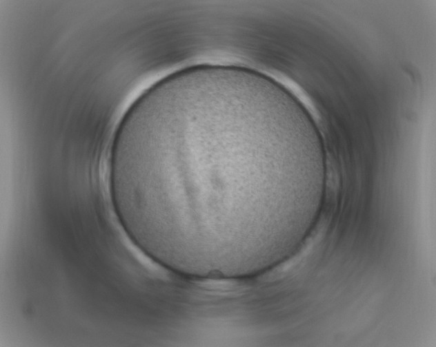 X0000113881343200910151304