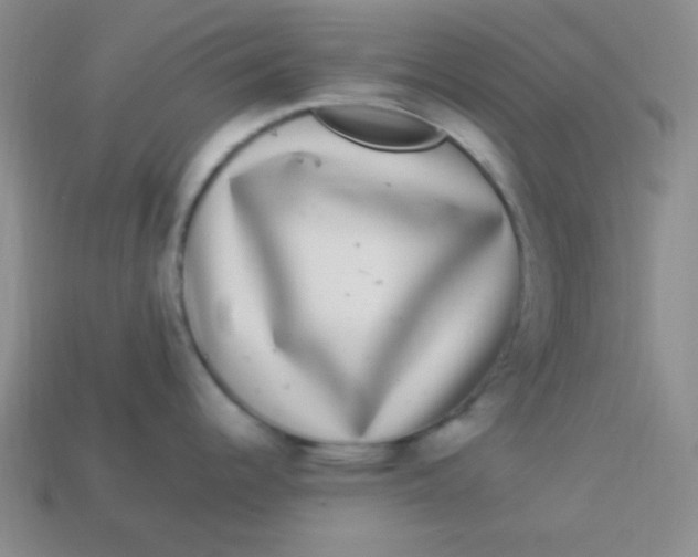 X0000113881344200910151304