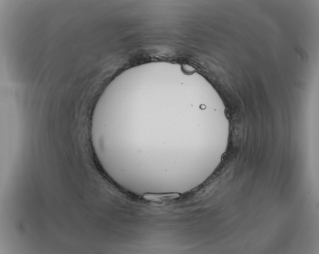 X0000113881345200910151304