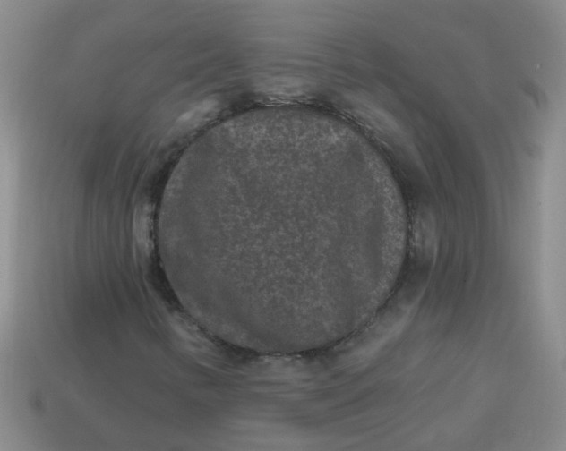 X0000113881346200910151304