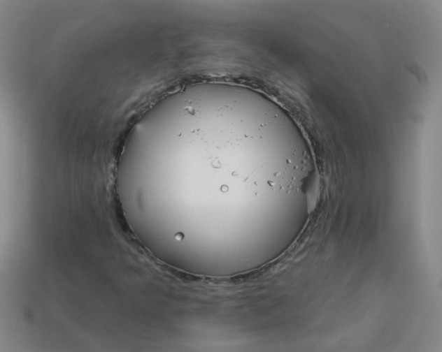 X0000113881349200910151304