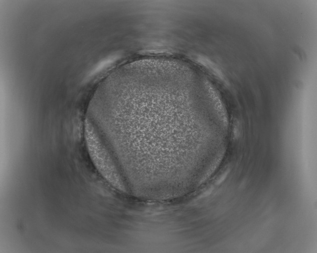 X0000113881350200910151304