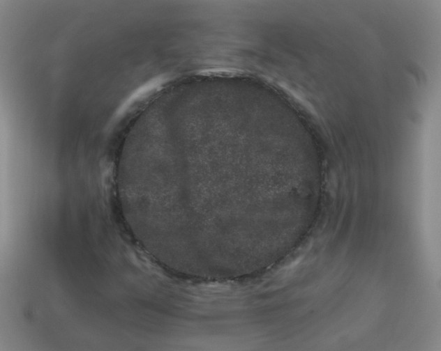 X0000113881351200910151304