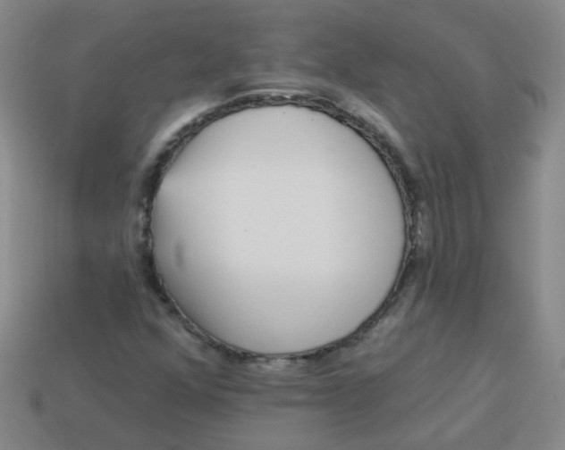 X0000113881352200910151304