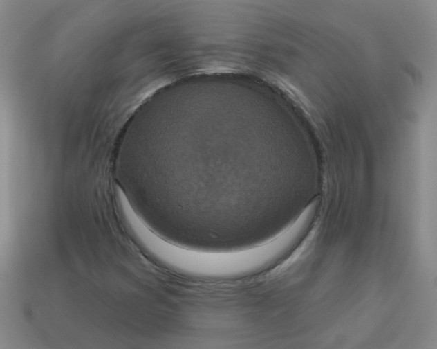 X0000113881353200910151304