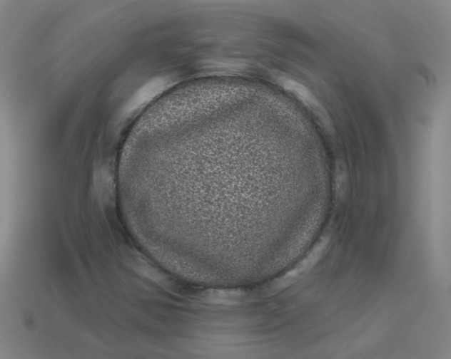 X0000113881354200910151304