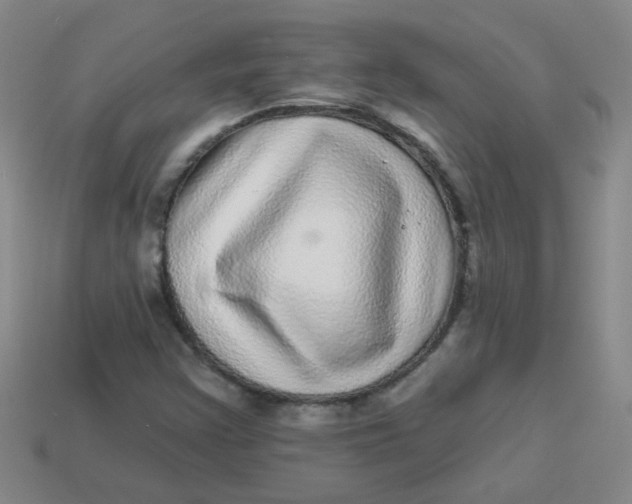 X0000113881355200910151304