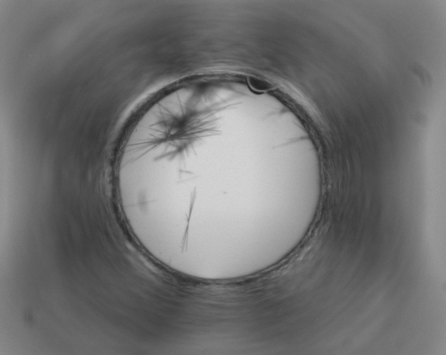 X0000113881356200910151304