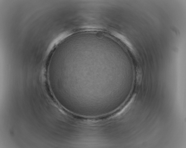 X0000113881357200910151304