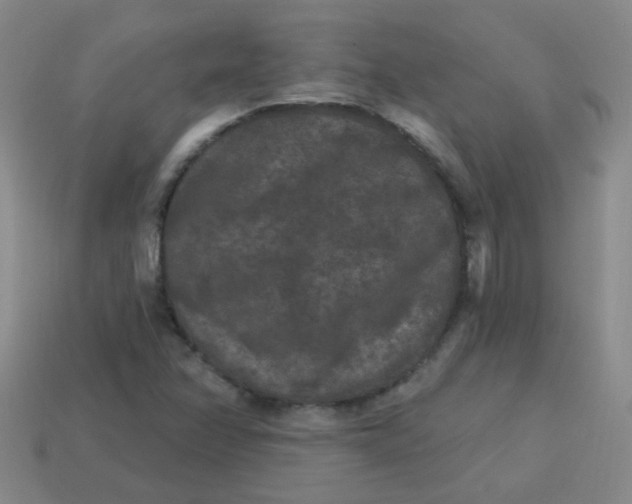 X0000113881358200910151304