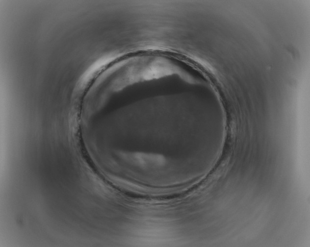 X0000113881359200910151304