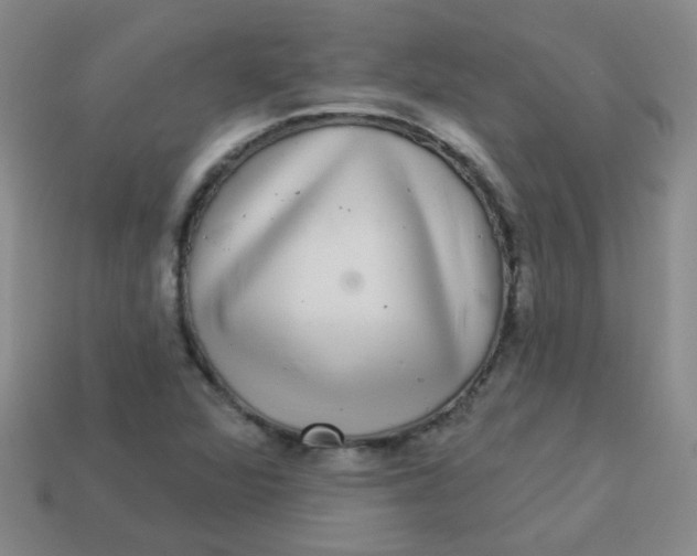 X0000113881360200910151304