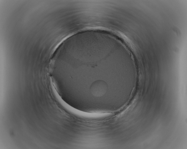 X0000113881361200910151304