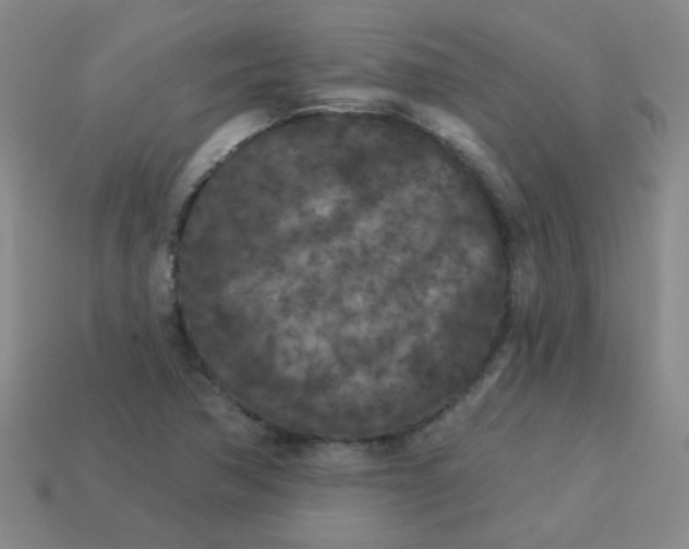 X0000113881362200910151304