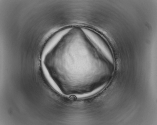 X0000113881363200910151304