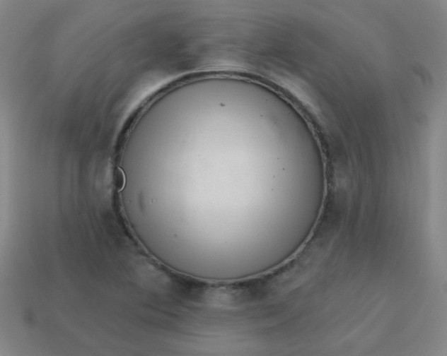 X0000113881364200910151304