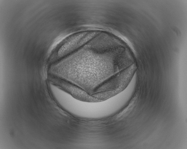 X0000113881365200910151304