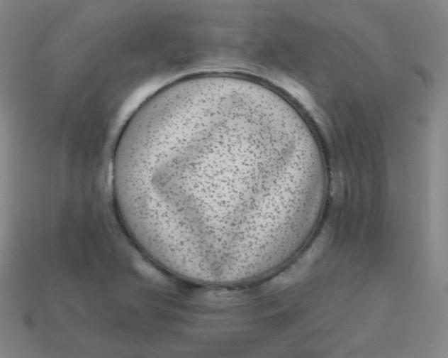 X0000113881366200910151304