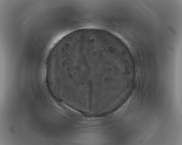 X0000113881367200910151304