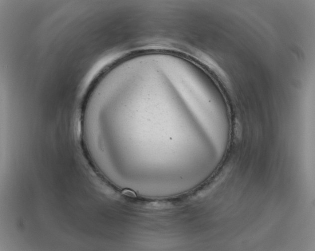 X0000113881368200910151304