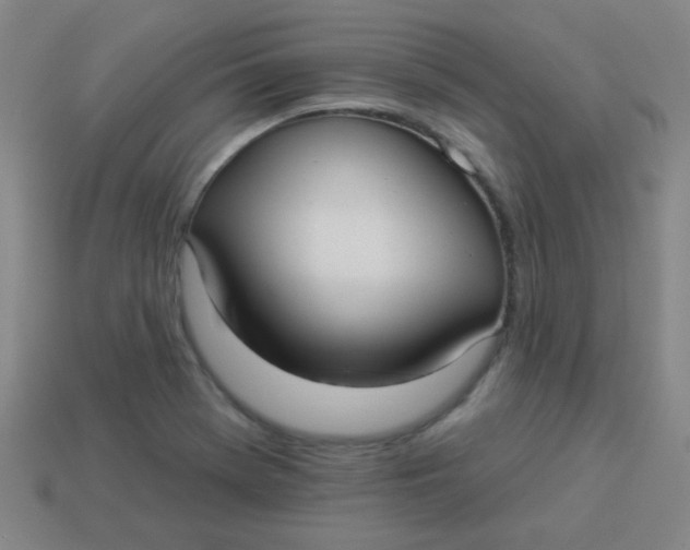 X0000113881369200910151304