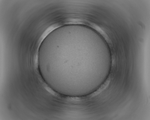 X0000113881370200910151304