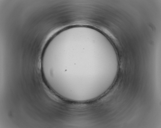 X0000113881372200910151304