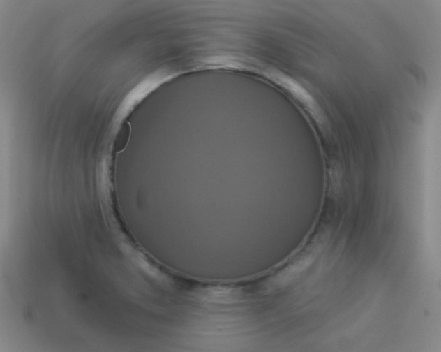 X0000113881373200910151304