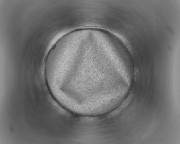 X0000113881374200910151304