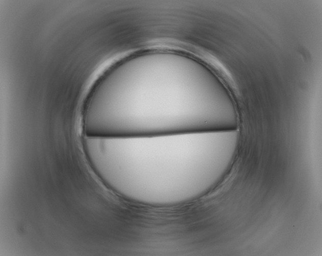 X0000113881376200910151303