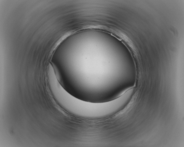 X0000113881377200910151303