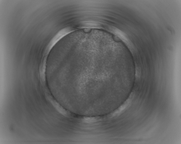 X0000113881378200910151303