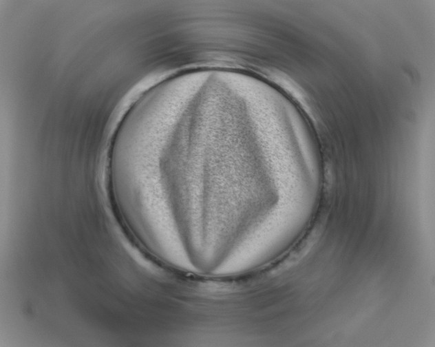 X0000113881379200910151303