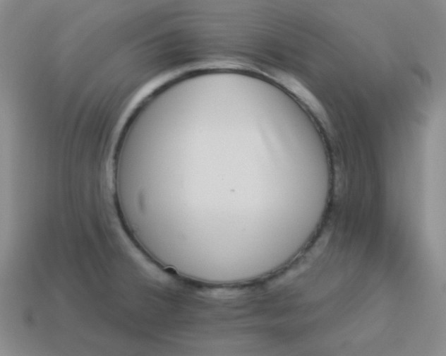 X0000113881380200910151303