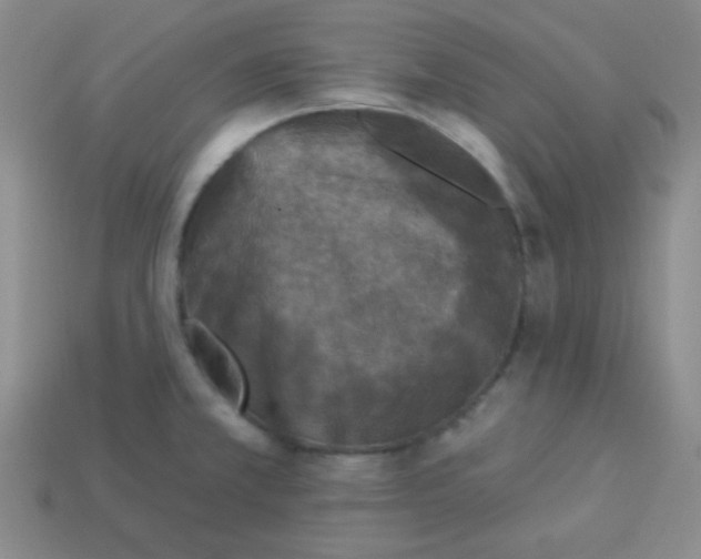 X0000113881381200910151303