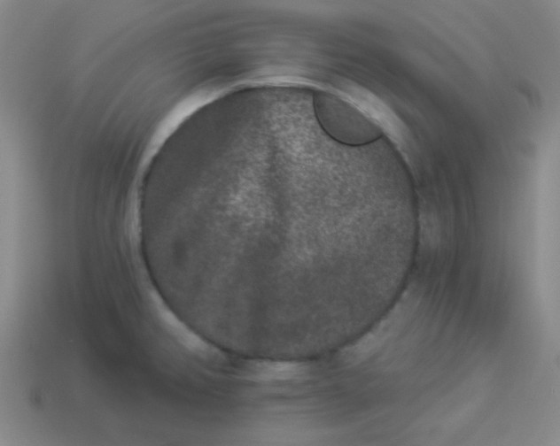 X0000113881382200910151303