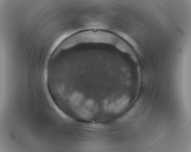 X0000113881383200910151303