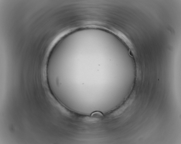 X0000113881384200910151303