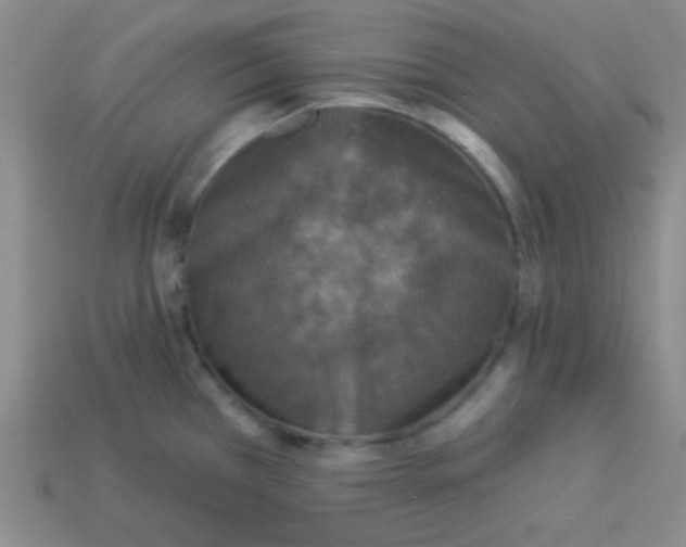 X0000113881385200910151303